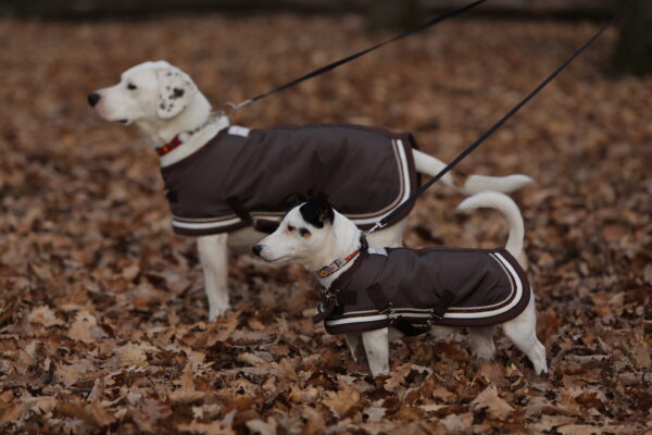 Dogwear Dog Coat - immagine 3