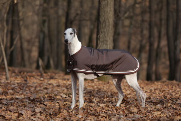 Dogwear Dog Coat - immagine 5