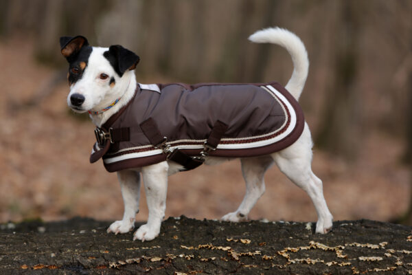 Dogwear Dog Coat - immagine 6