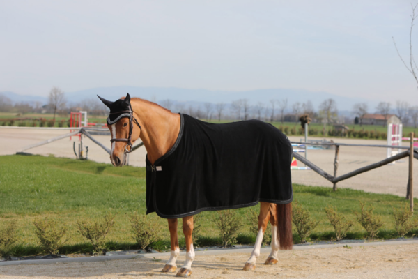Velvet toweling rugs